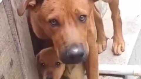 “I’ll protect you”.. 😊
