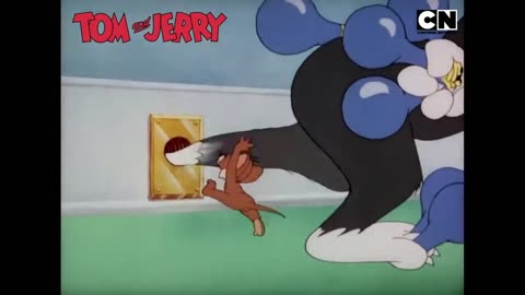 “Cat‑n‑Mouse Chaos 😹🏃 | Timeless Cartoon Fun”