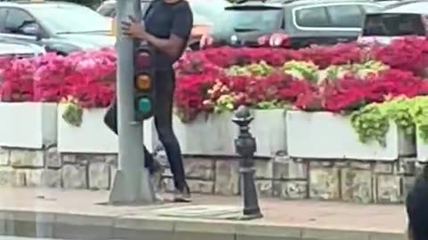 Not even traffic lights are safe.