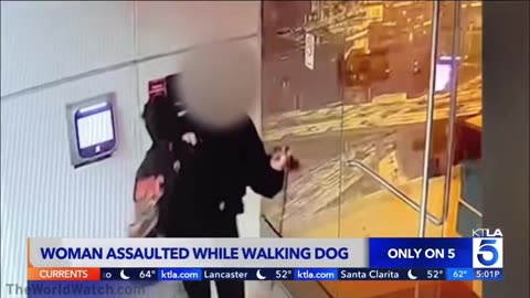 Woman trying to walk her dog in downtown Los Angeles is sexually assaulted and beaten