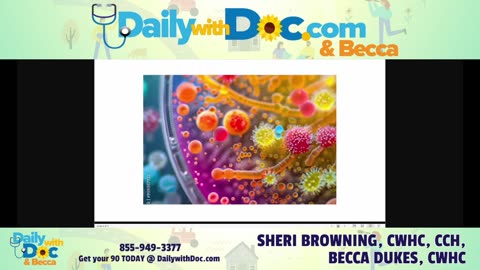 Sheri Browning; The Magic of Fermentation: Ancient Wisdom in Modern Health DWD 5/7/25