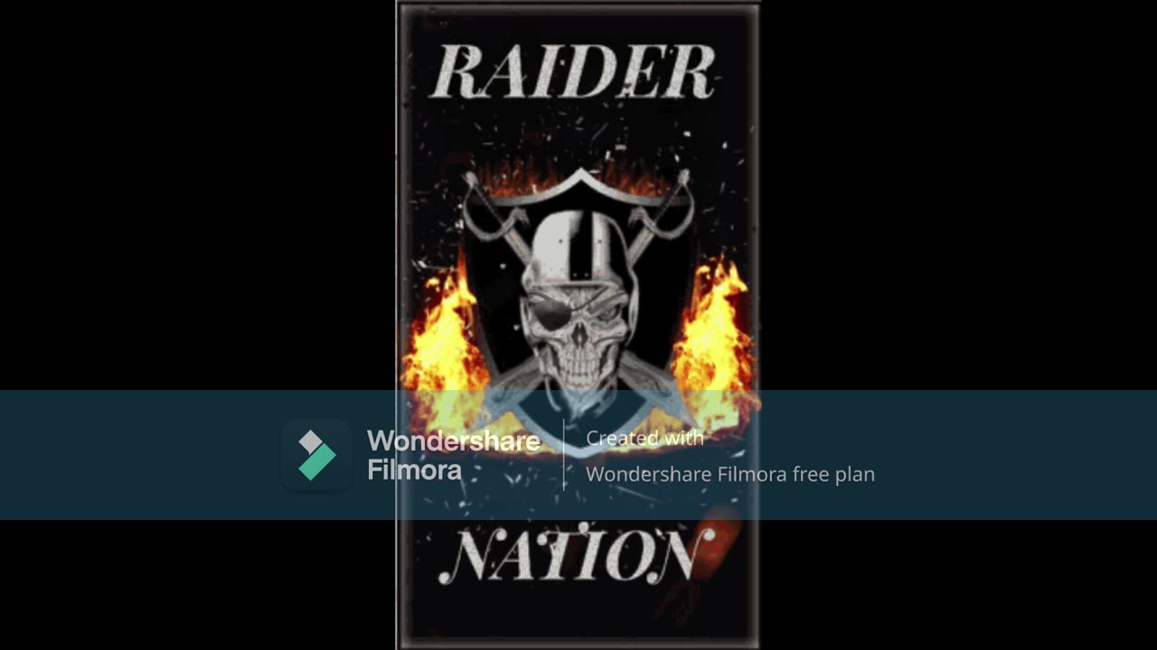RAIDERS CYLENT ZAM MIX
