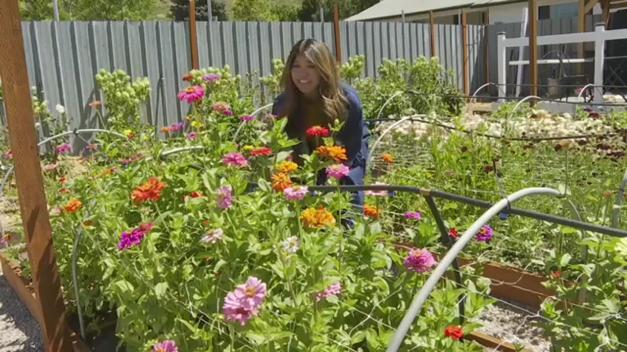 From heartbreak to hope: How a Utah flower farm became a sanctuary for grieving parents