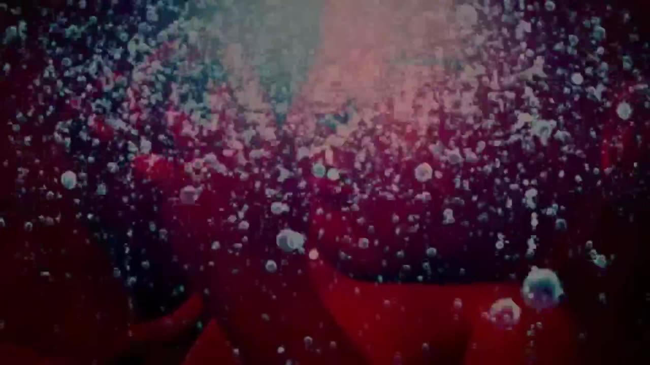 LIFE IN THE CONSTITUTION PM SESSION