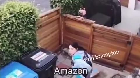 An Indian Amazon driver in Canada leaves an 'extra package' for saar at his home!😁