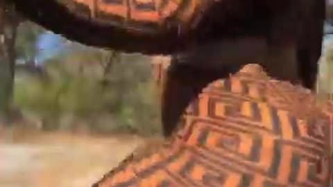 Girls huge ass Twerk 🤯🔥 Tiktok Videos y6