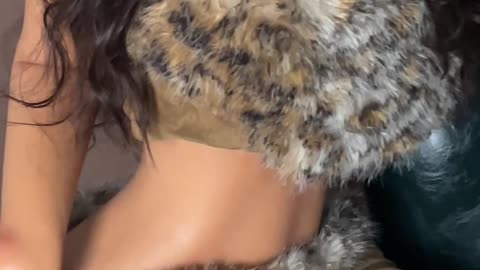 Leopard – 5’4″ | 164cm Sex Doll