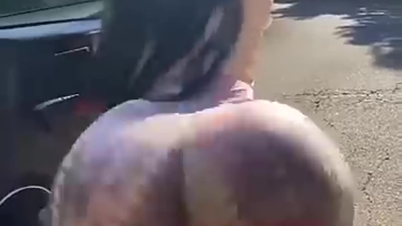 Big Booty Babes Shaking It in Bikinis | Ultimate Curvy Dance Compilation 🔥💃"