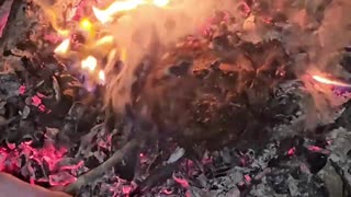 Cooking a Steak Caveman Style