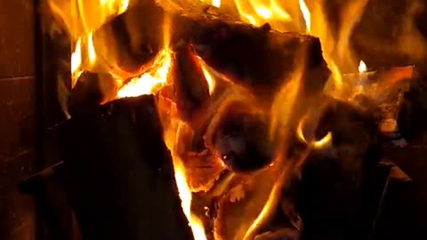 Daily Horoscope | Aries 🌟