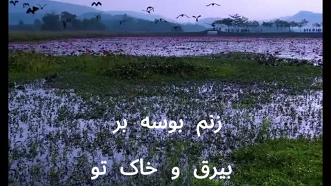 [ Farsi ] song Watan isq man وطن عشق من