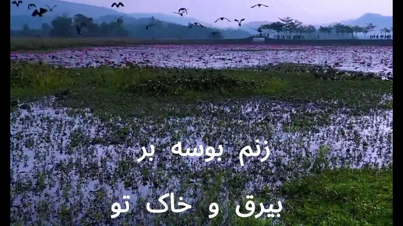 [ Farsi ] song Watan isq man وطن عشق من