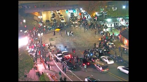 Portlands High IQ Scholars Gather for a Night of Carnage and Mayhem