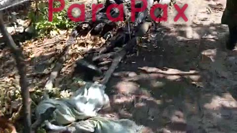 Russian Soldiers in Varying Degrees of Freshness Lining the Pathway