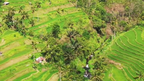 Without the spiritual transformation you can’t move into 5D