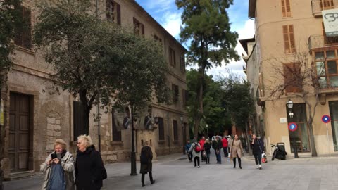 Palma Cathedral (Mallorca, Spain) 3