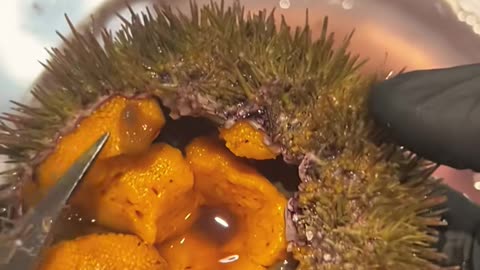 🤯👍 You've Been Doing This Wrong—Here's the Right Way! | LifeHacksDaily