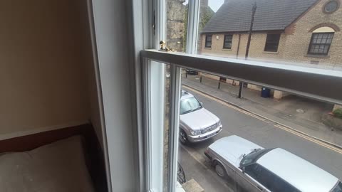 New Windows first floor