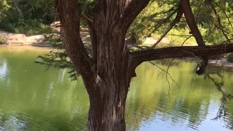 Meditate by the lakeside quickly.