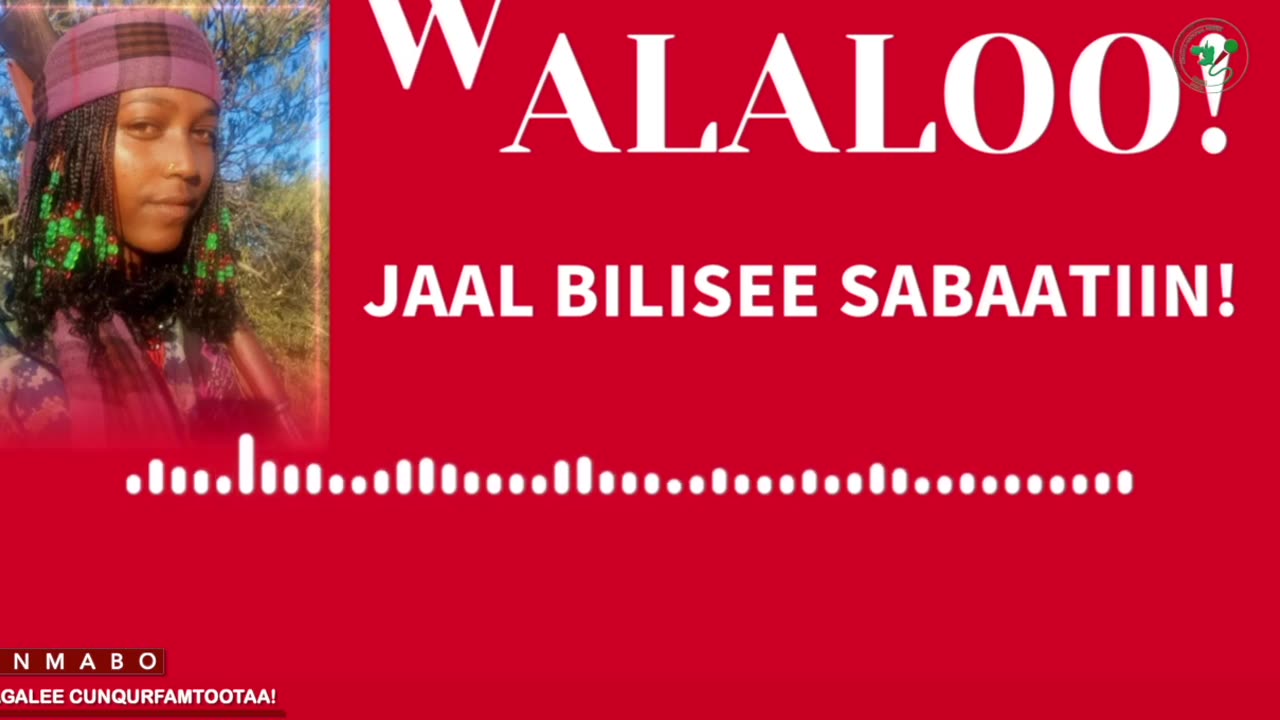 Qophii Walaloo ONM-ABO Ebla 9-2025 itti dhiyaadhaa!