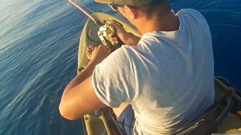 Una cernia bianca da sogno- big grouper hobie Outback kayak fishing_part1