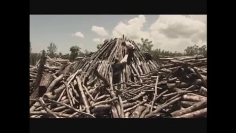 Monteros - Película cubana completa