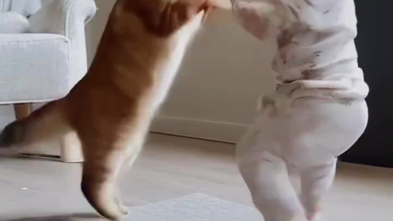Cat Vs kid so funny Fightingš¤£