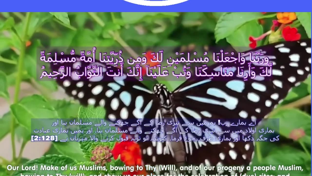 40 Rabbana Duas (Dua no 2)