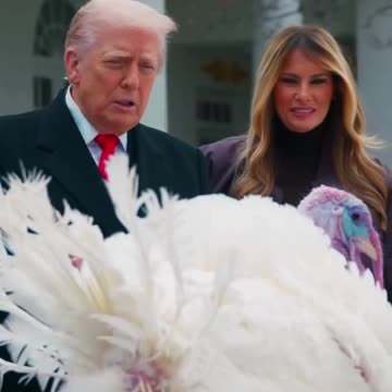 News - News - News 😎 news 🗞️📰📰