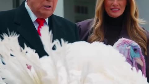 News - News - News 😎 news 🗞️📰📰