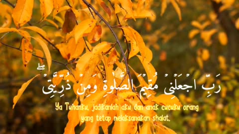 🔥Surah Ibrahim 14:40-41🛐سورۃ ابراہیم❤️👨‍👩‍👧‍👦 #love #quran #viral #shorts #trending #youtubeshorts