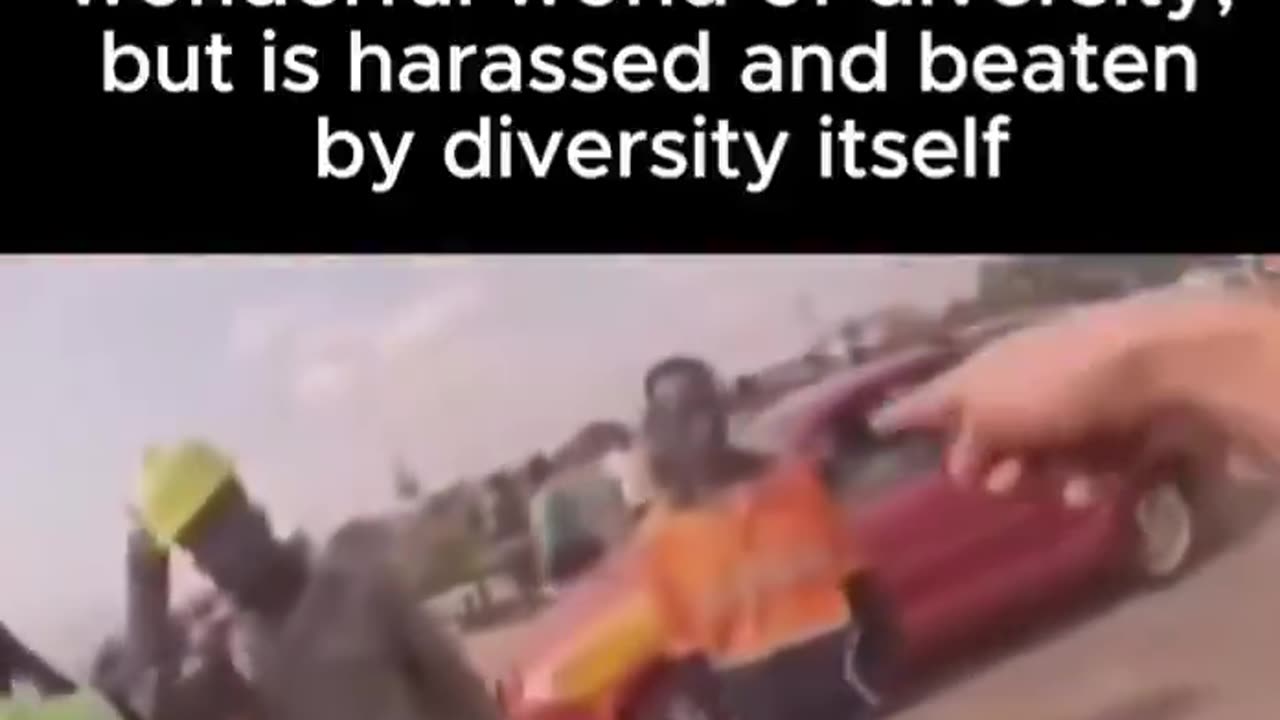 Get Culturally Enriched, Bitch