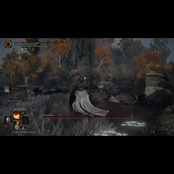 Elden Ring PC | Putrid Avatar of Dragonbarrow boss fight co-op w/Mimic Tear on NG #eldenring #shorts