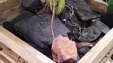 Turn Trash Into Planters – Eco-Friendly Plant Hacks