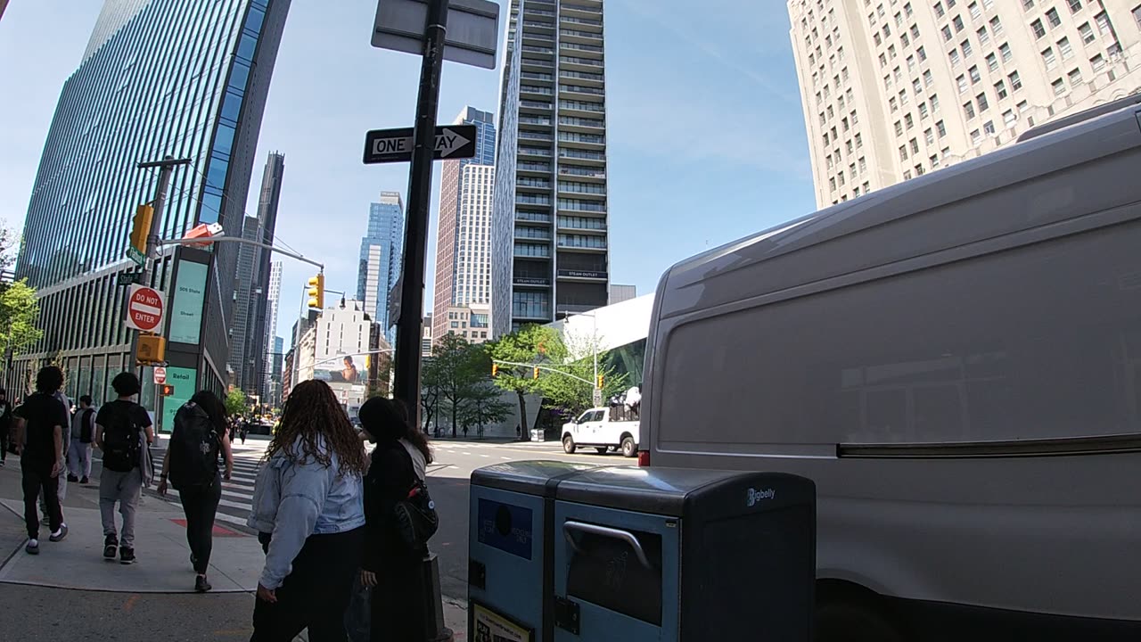 WHO LET THE DOGS OUT