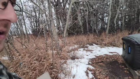 How To Trap Skunks without spraying (With Actual Catch)