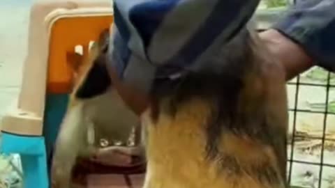 🐾 Heartwarming rescue of a sick kitten and her beautiful kittens! 😻❤️