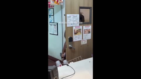 Black People At KFC Fight Over Dey Chicken 🍗 🍗🍗🍗🍗🍗🍗🍗
