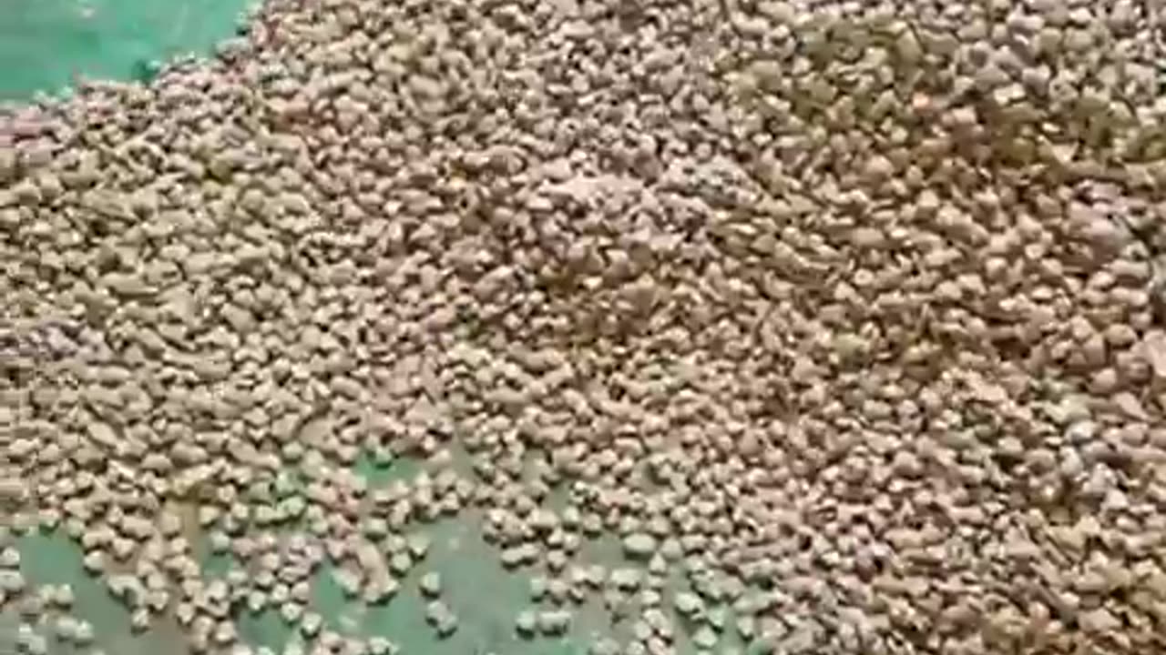 You cannot make this up.