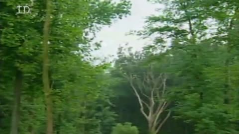 DETEKTYWI SĄDOWI 14 dokument pl