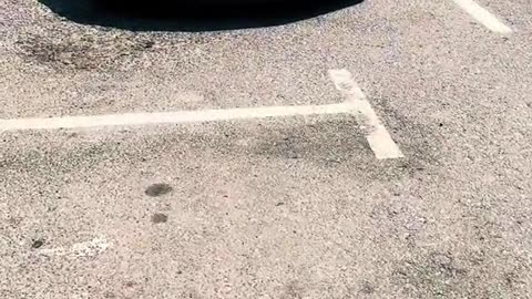 🚗💨 Dubai's Most Luxurious Supercars! | LuxurySportsCars