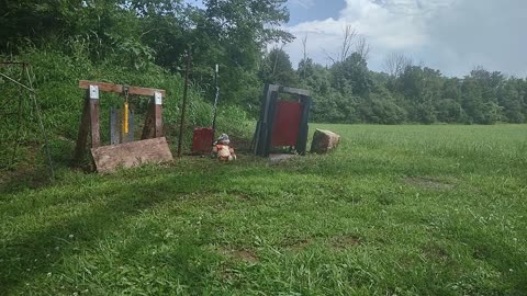 Pew Pew, RUMBLE EXCLUSIVE! Teddy Ruxpin's Tannerite Slushy Party, 50bmg Edit.