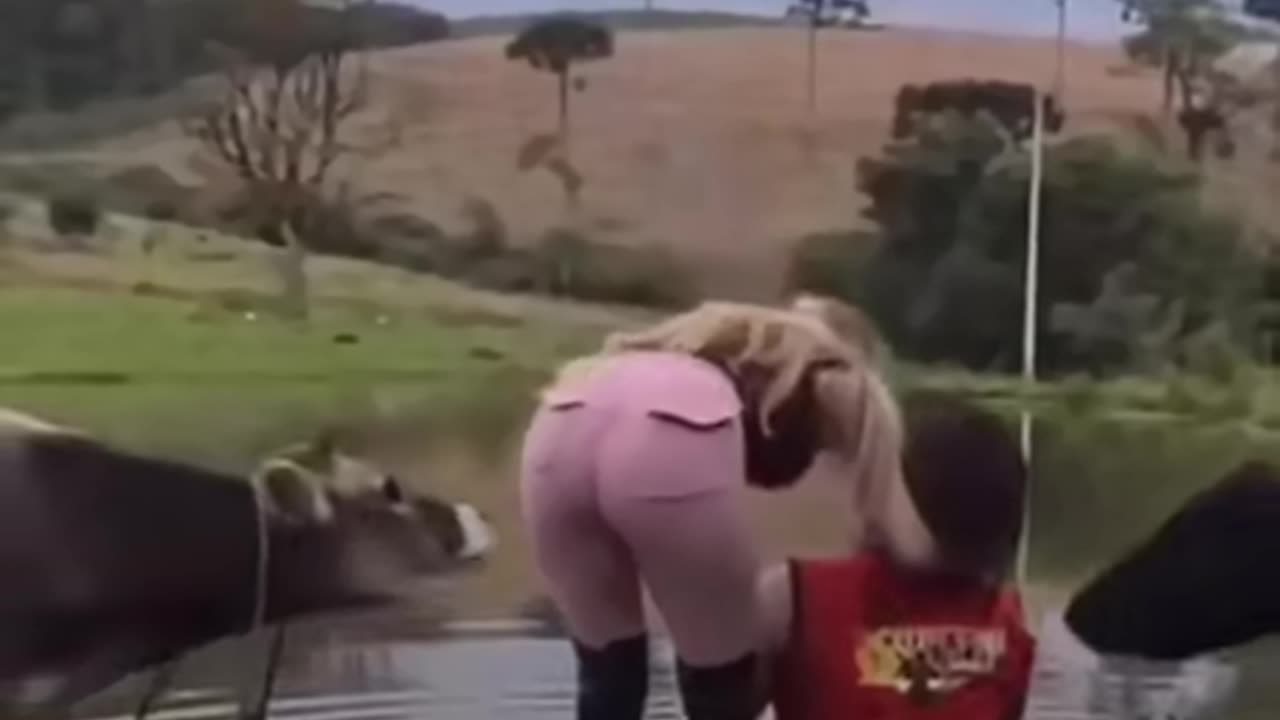 𝑵𝒐𝒕 𝒂 𝑪𝒐𝒘