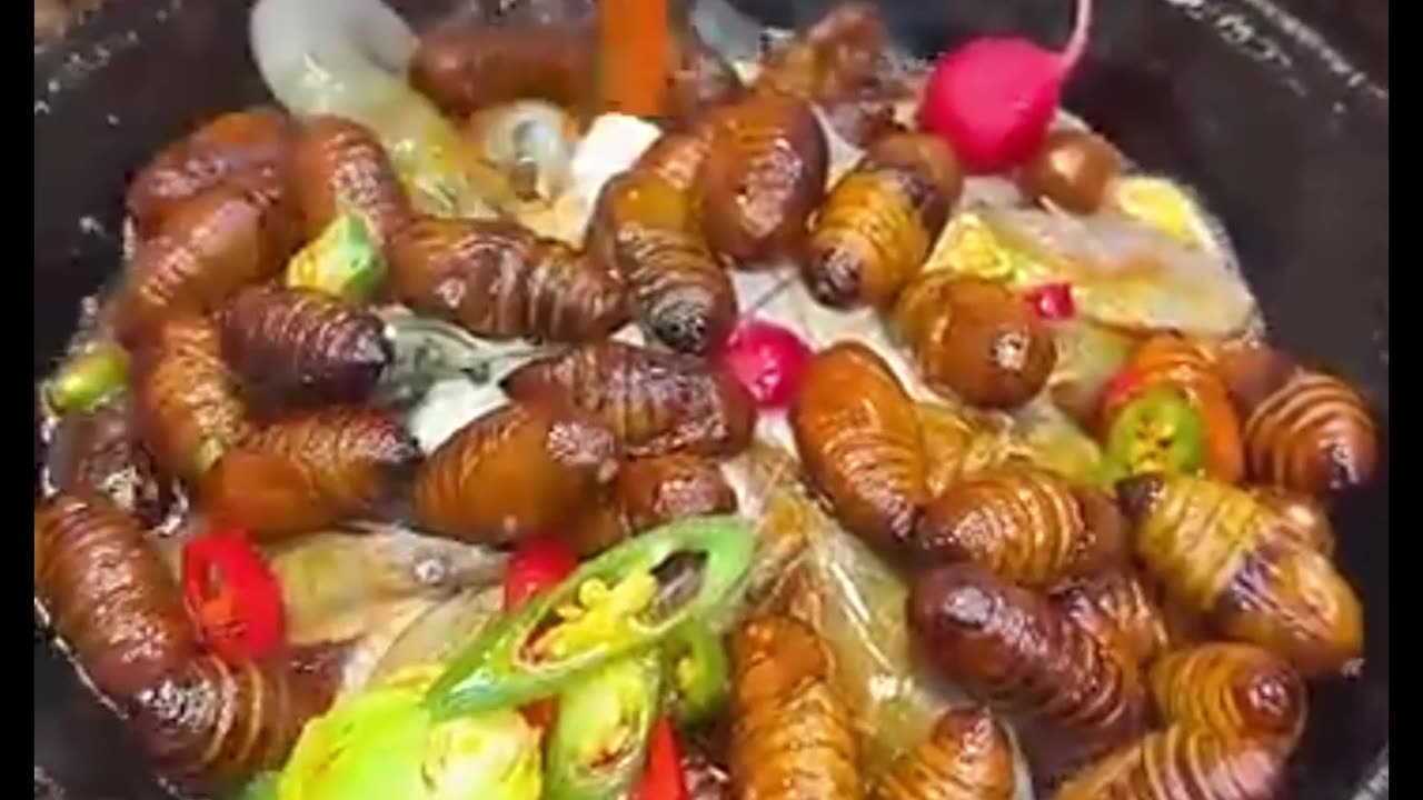 Exploring Chinese Exotic Food: A Culinary Adventure