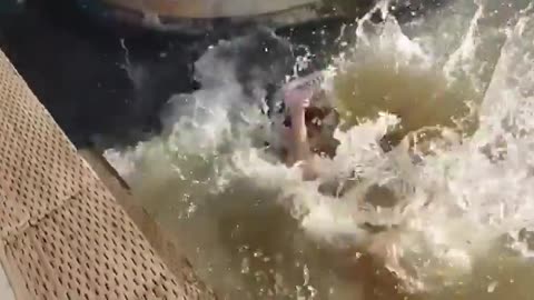 Wow 😮