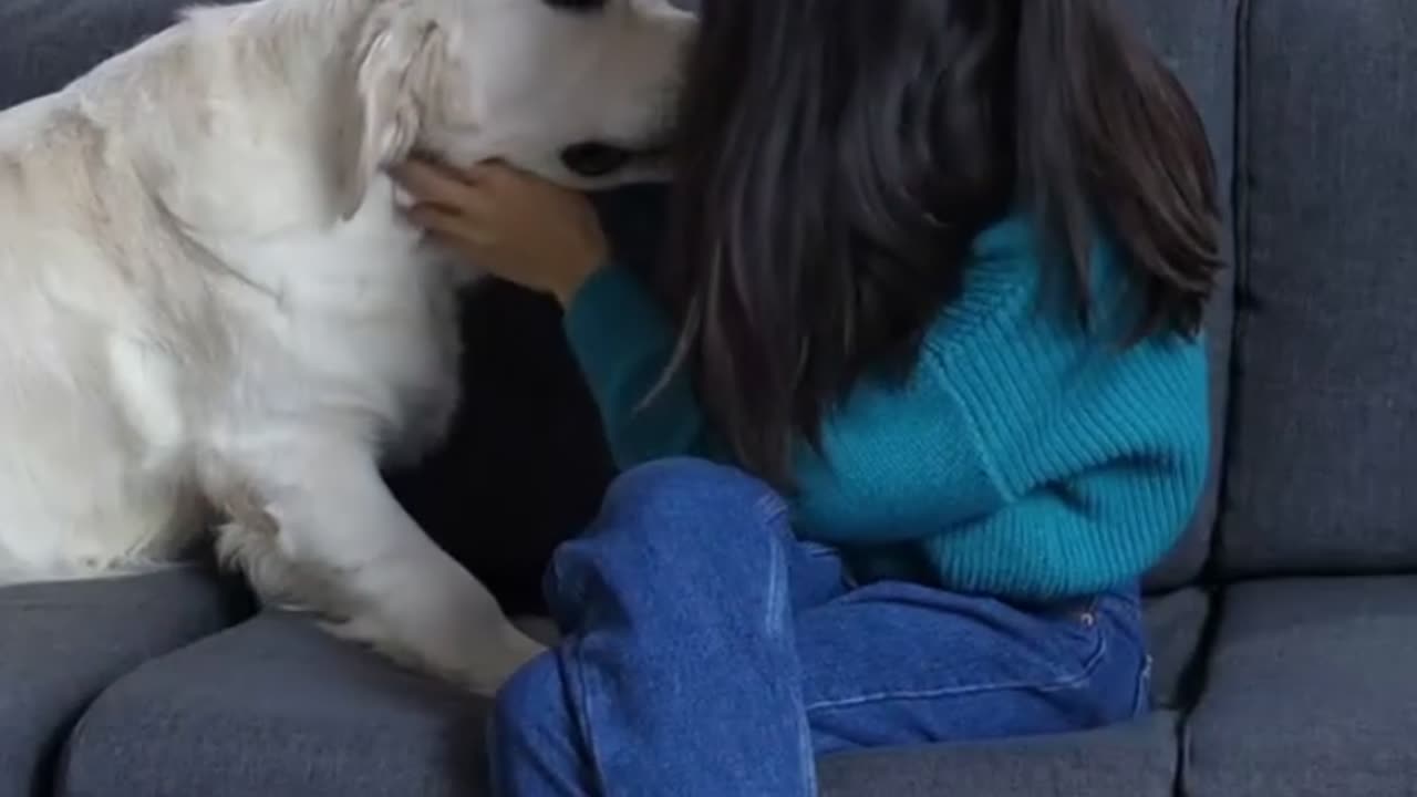 The dog is a loyal friend
