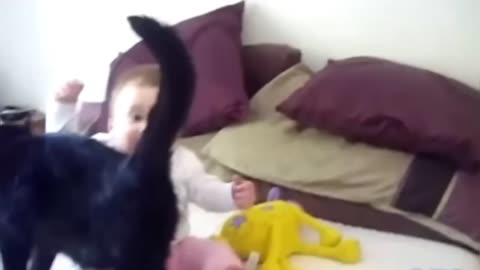 Cut cat