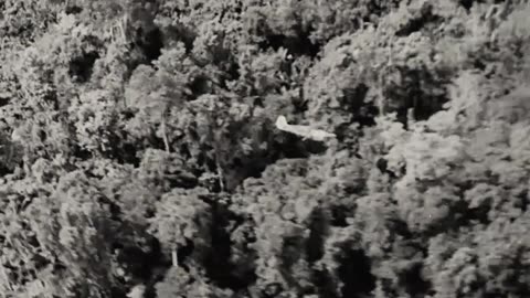RAAF Kittyhawk Mk IV fighters attacking Japanese positions circa 1944