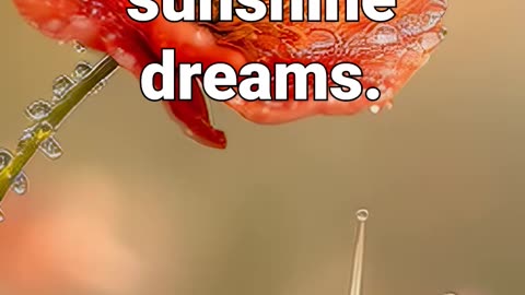 Just a snail… chasing sunshine dreams #snail #naturesounds #meditationaid #anxiety #stressrelief