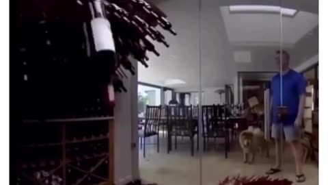 😂🍷 The Funniest Way to Store Your Wine Collection! | FunFM